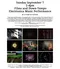 carousel chooser